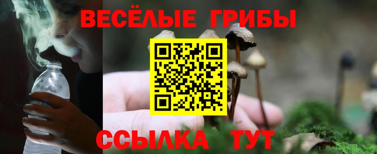 Галлюциногенные грибы Psilocybine cubensis  Вход с VPN  Калининград 